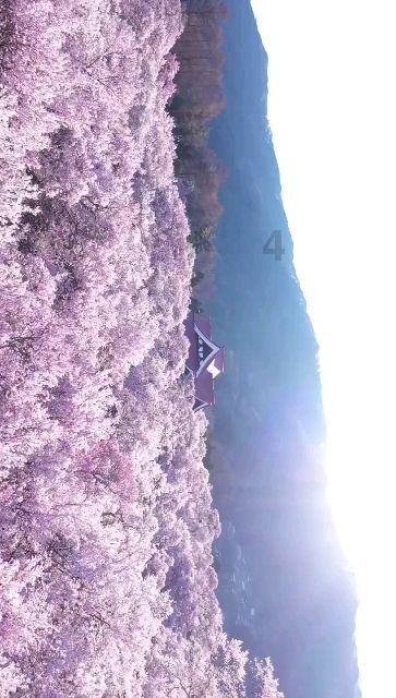 2023年度组织生活会个人对照检查材料,电子版word文档